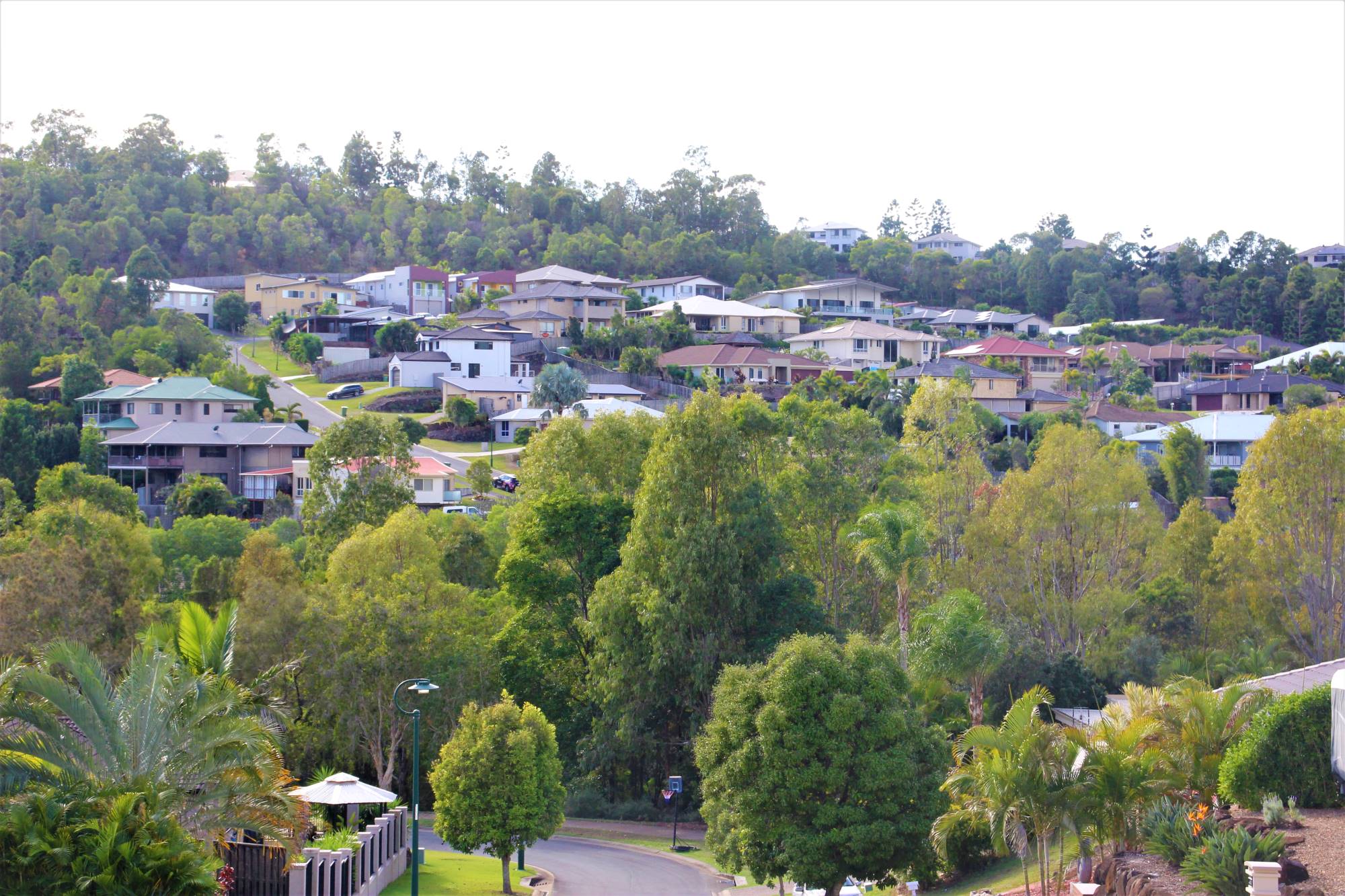 Pacific Pines Property Market Data 2020 Ball Realty